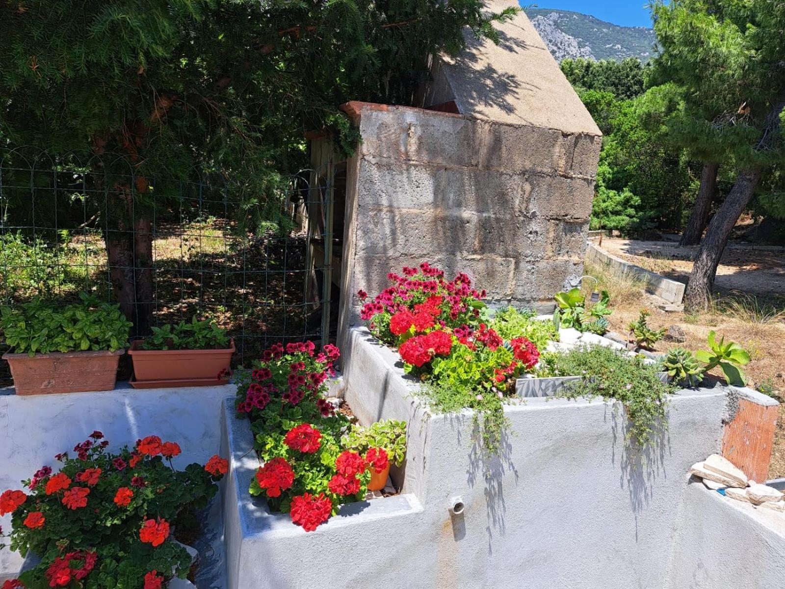 Apartamento Domus De Mare Cala Gonone Exterior foto